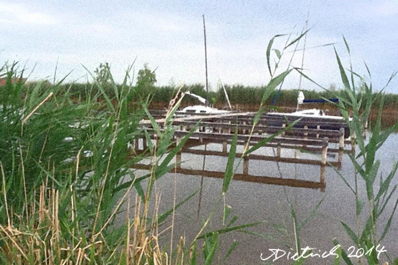 Impressionen vom Neusiedlersee