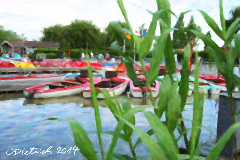 Impressionen vom Neusiedlersee