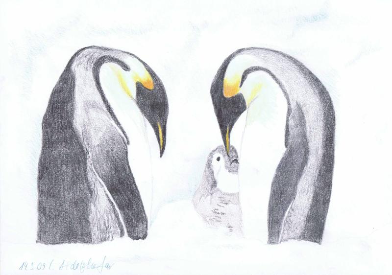 Pinguinfamilie