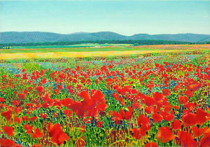 "Mohn.Felder.Berge"