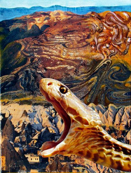 Desert Mountain with Snake