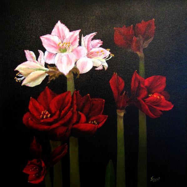 Amaryllis