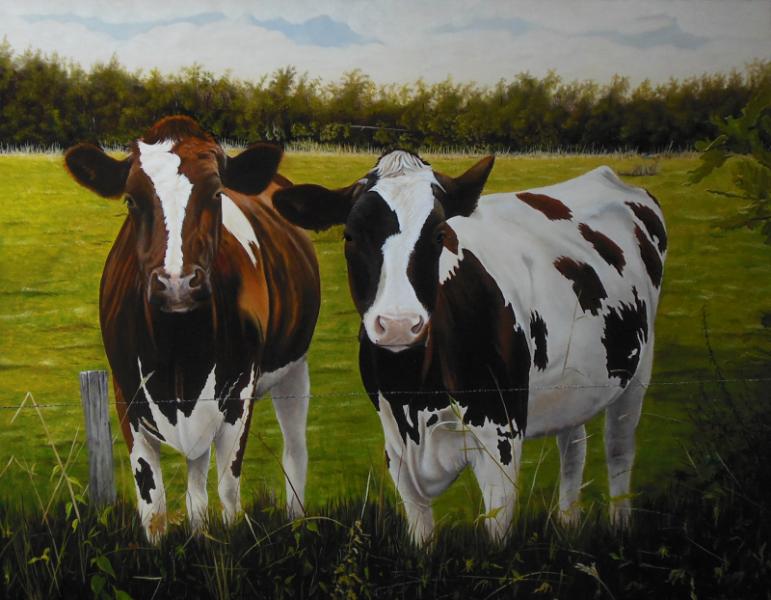 Two Red Holstein calves