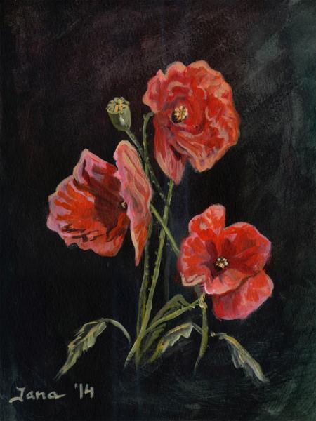 Red poppies