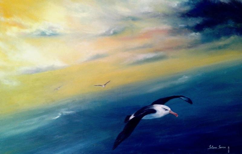 Jelena Jokesz | Albatrosse