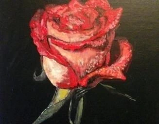Rode roos 
