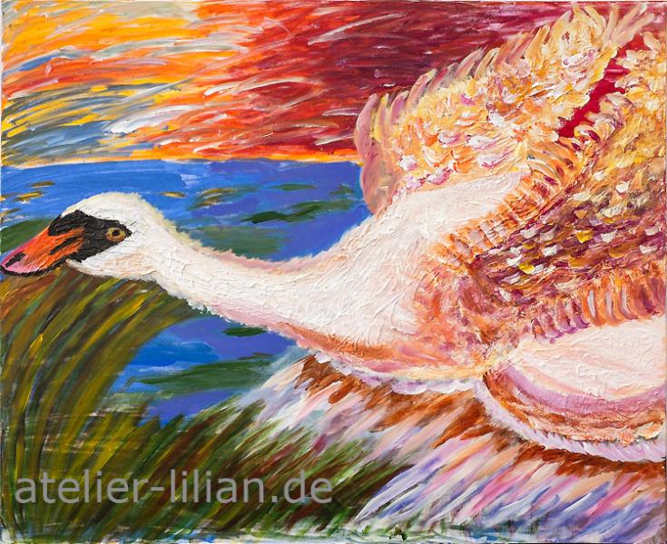 Aufsteigender Schwan in der Morgenröte