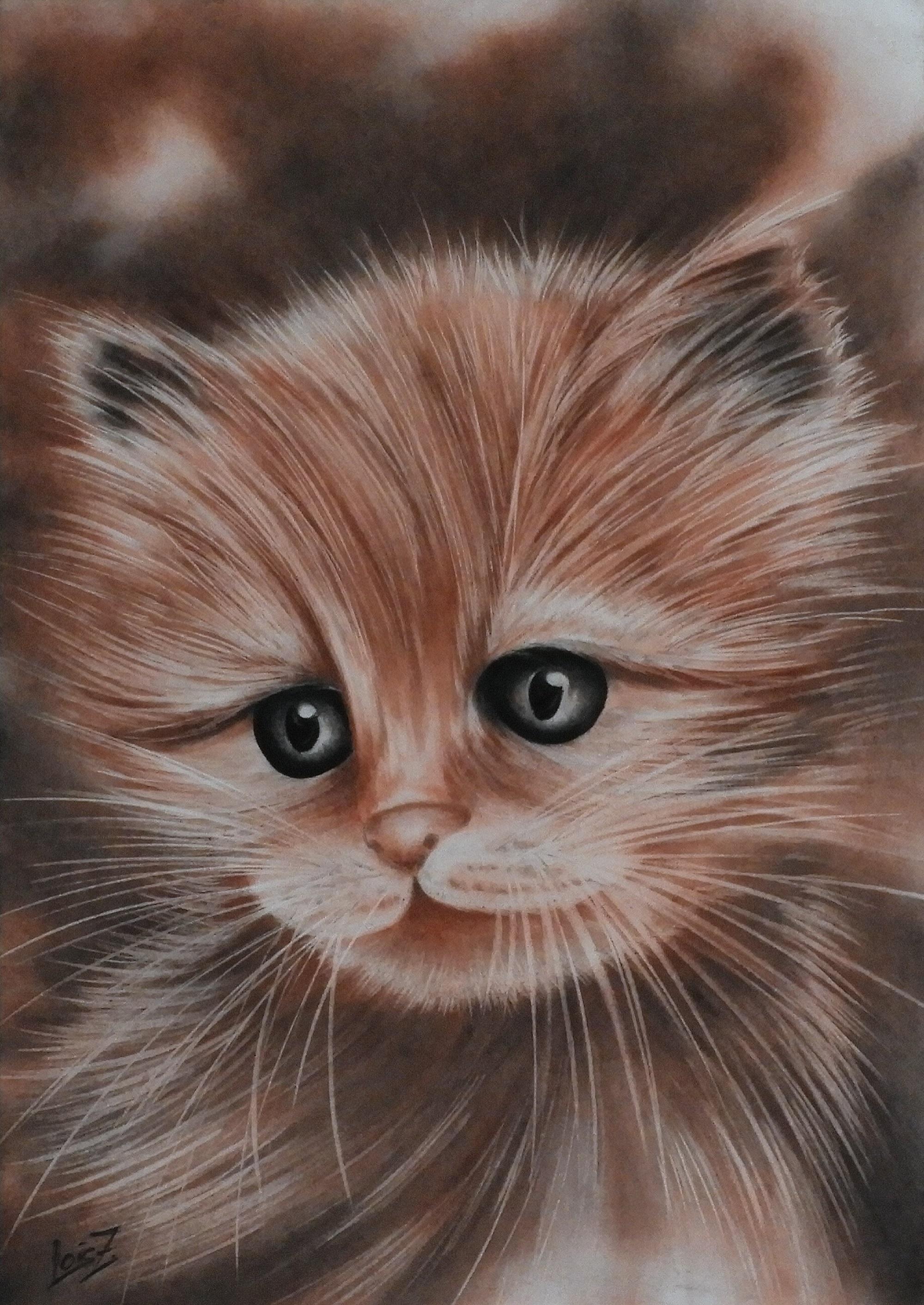 Lois Zimmermann | Katze