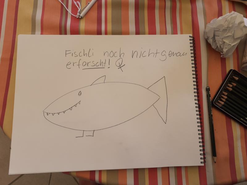 Fischli