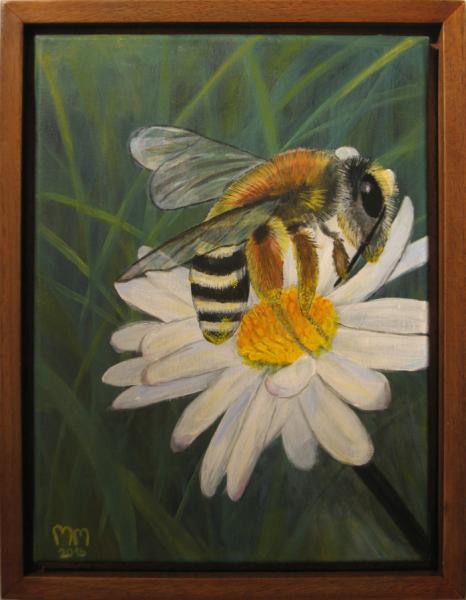 Matthias M | Pollensammlerin