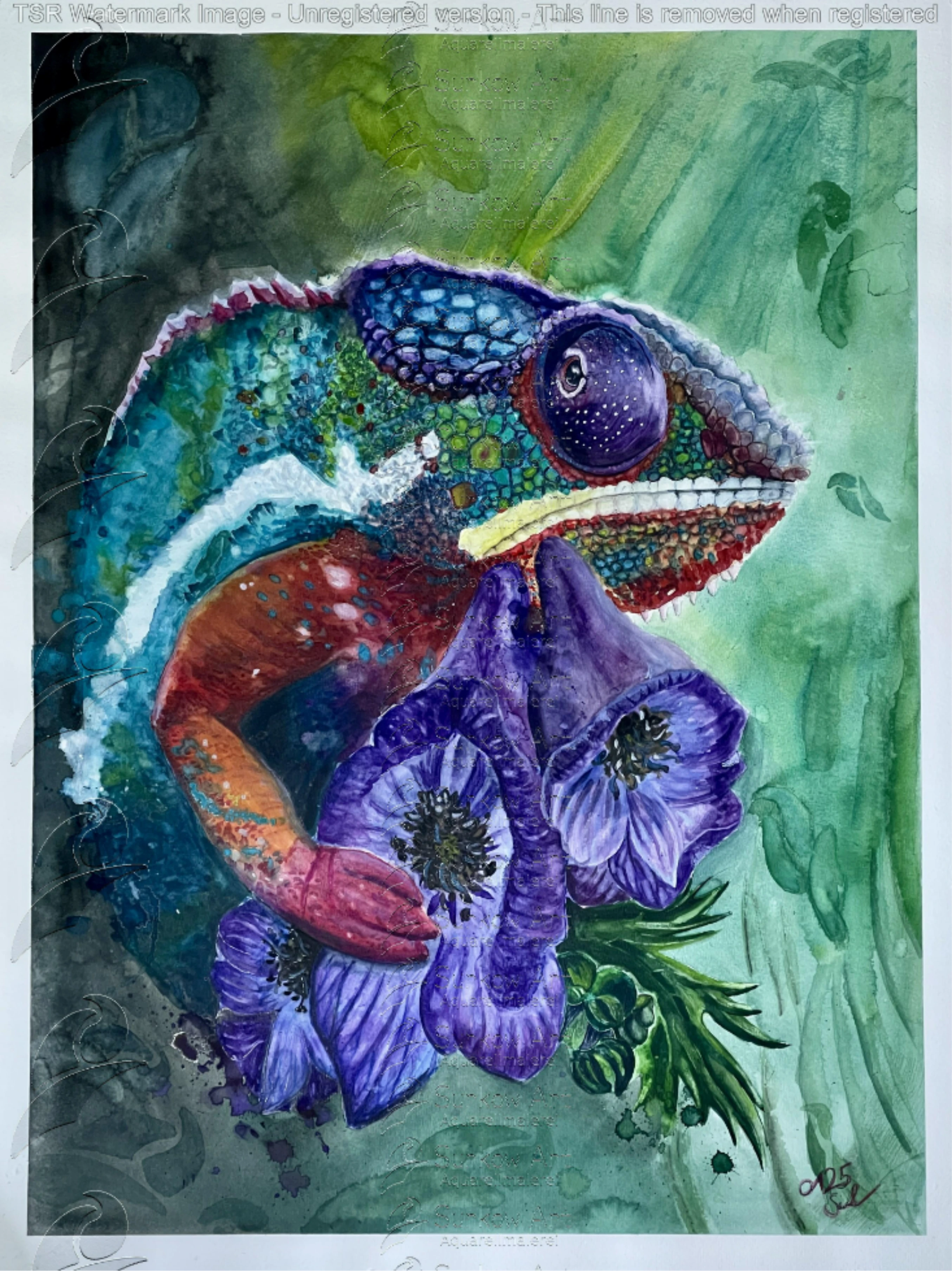 Aquarell Chamäleon mit Eisenhut Surkow Art
Künstler: Paul Surkow