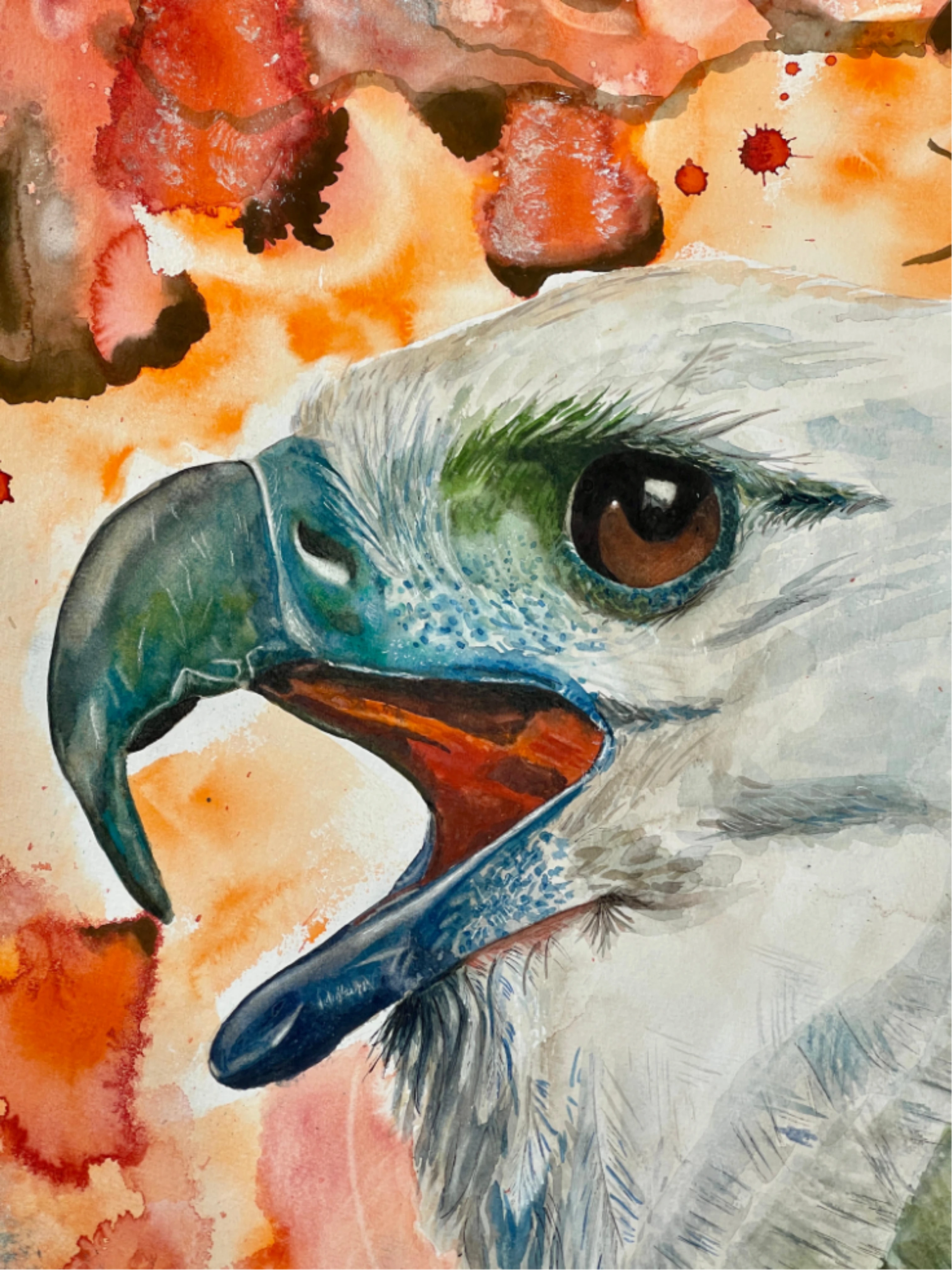 Aquarell Harpyie Greifvogel Surkow Art
Künstler: Paul Surkow