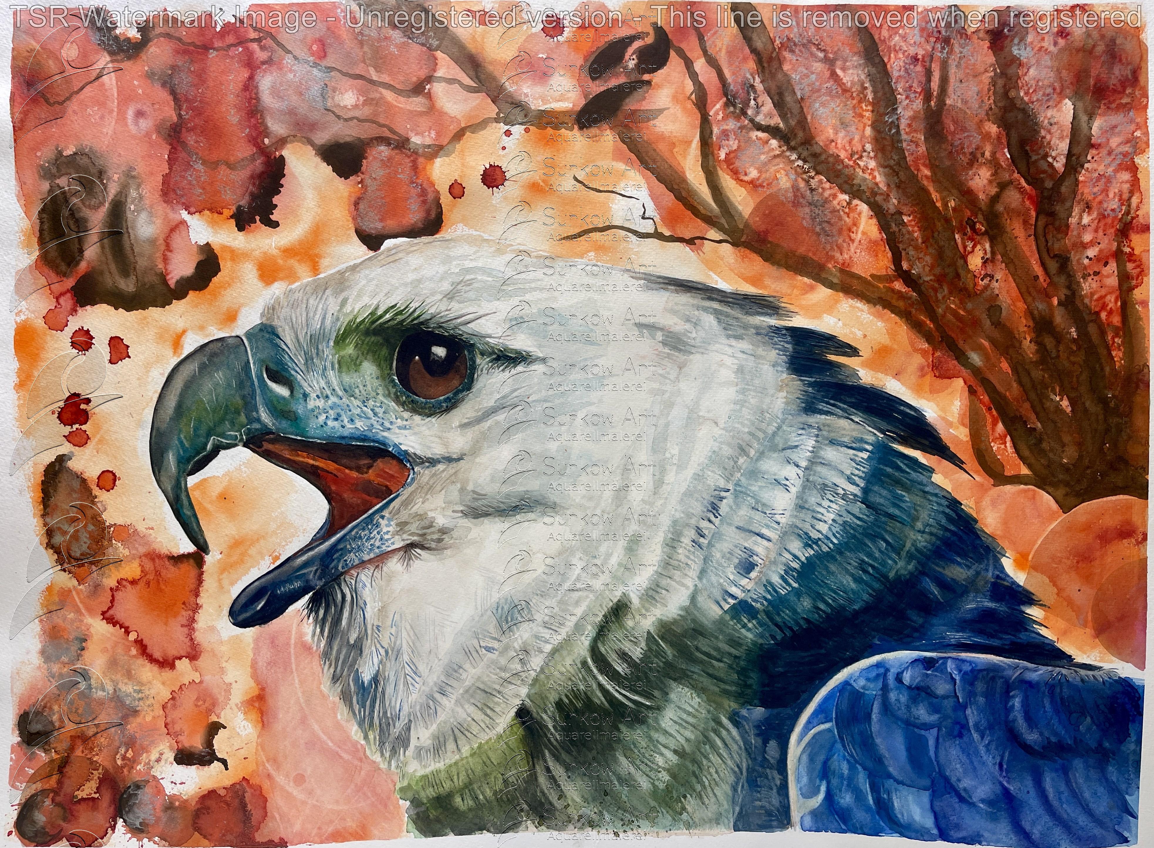 Aquarell Harpyie Greifvogel Surkow Art
Künstler: Paul Surkow