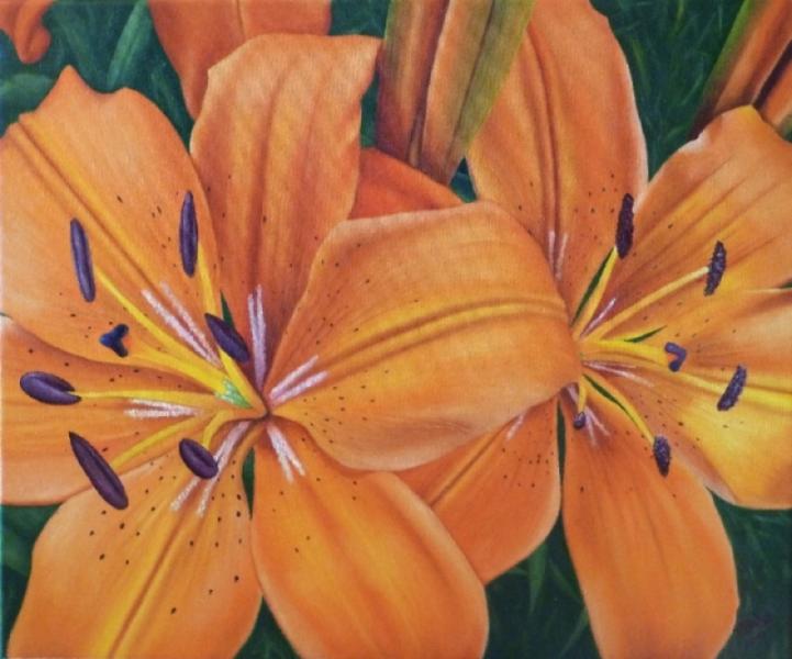 Peter Bahn | Tigerlilien