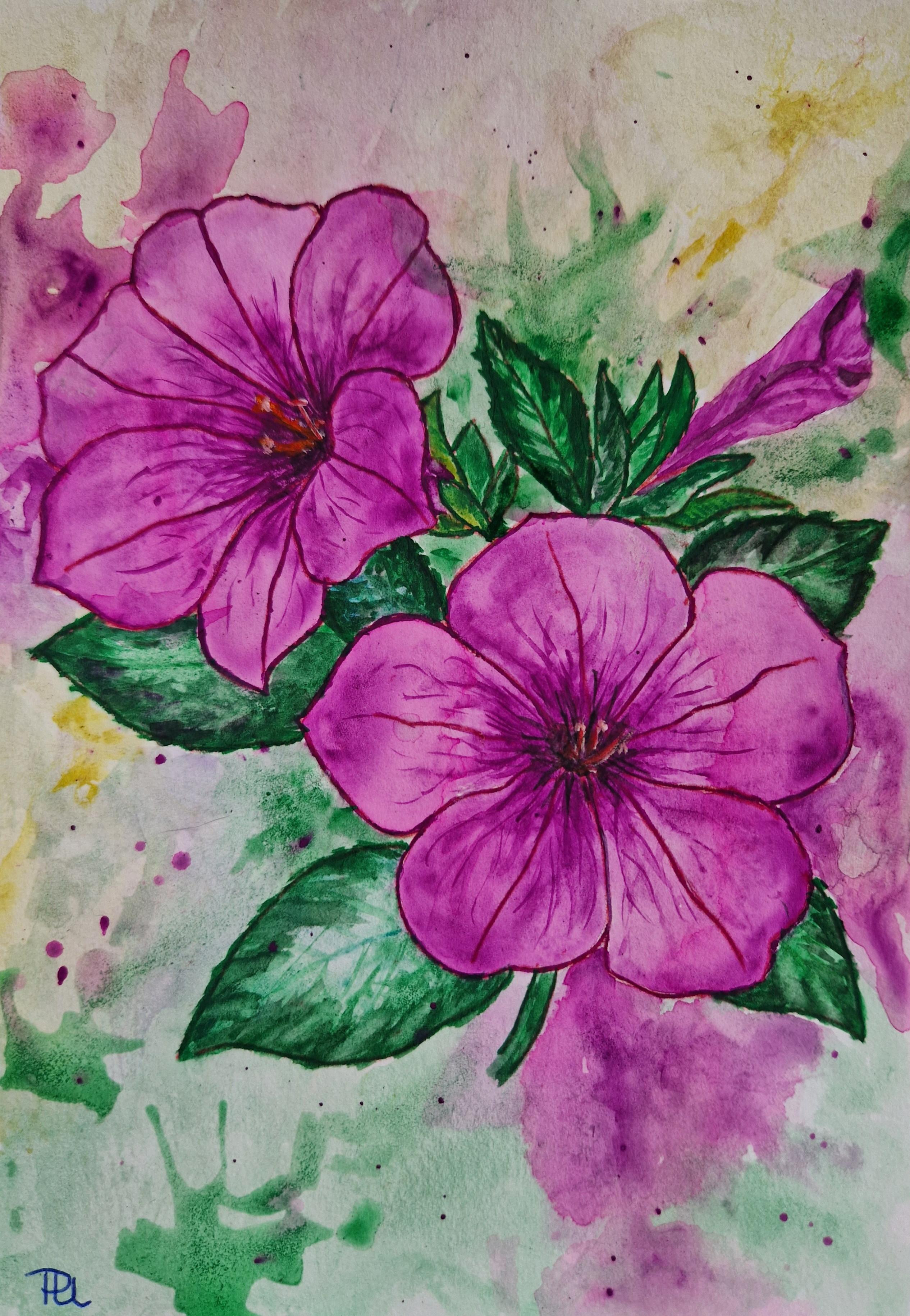 Lila Tulpen