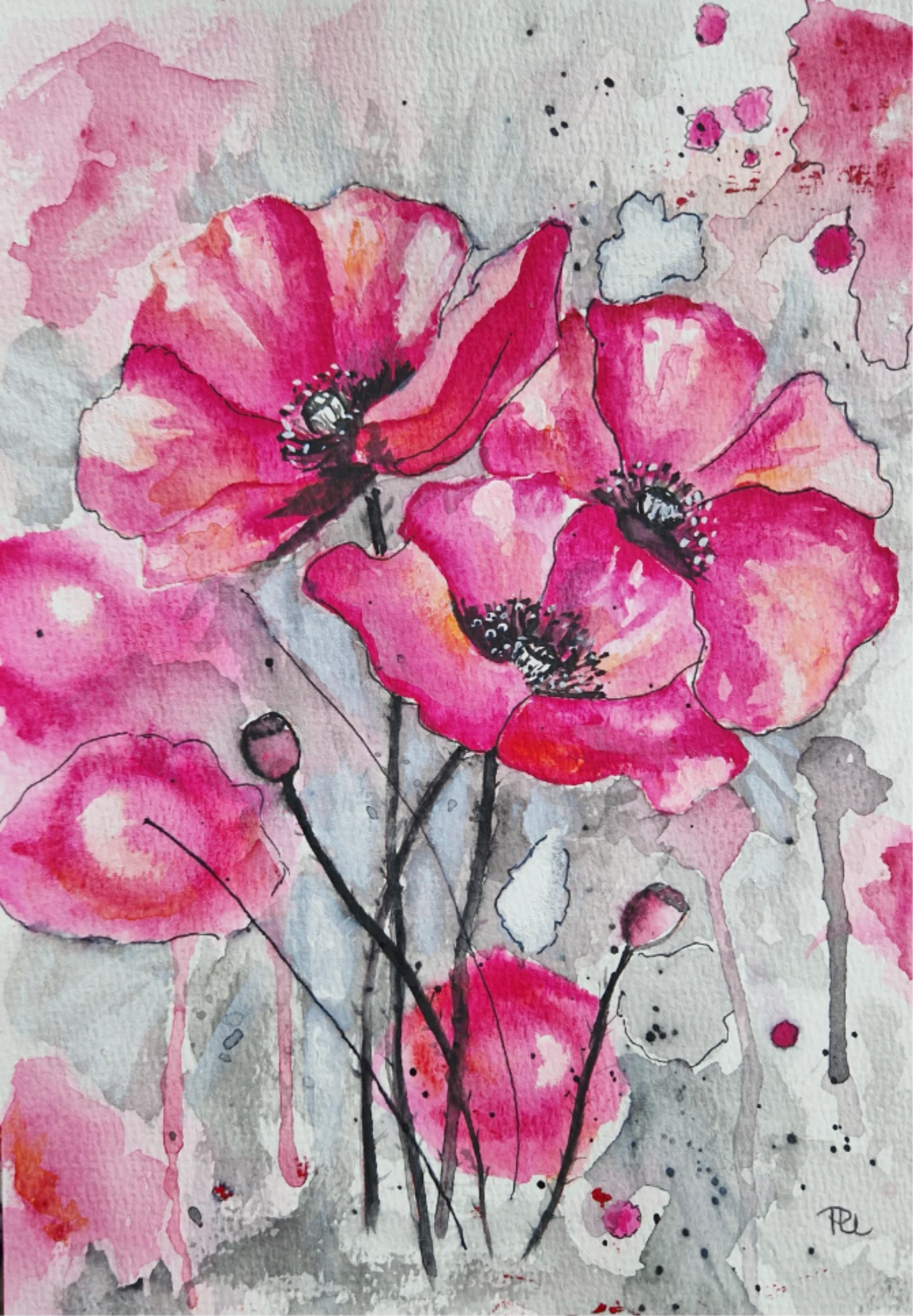 Mohn