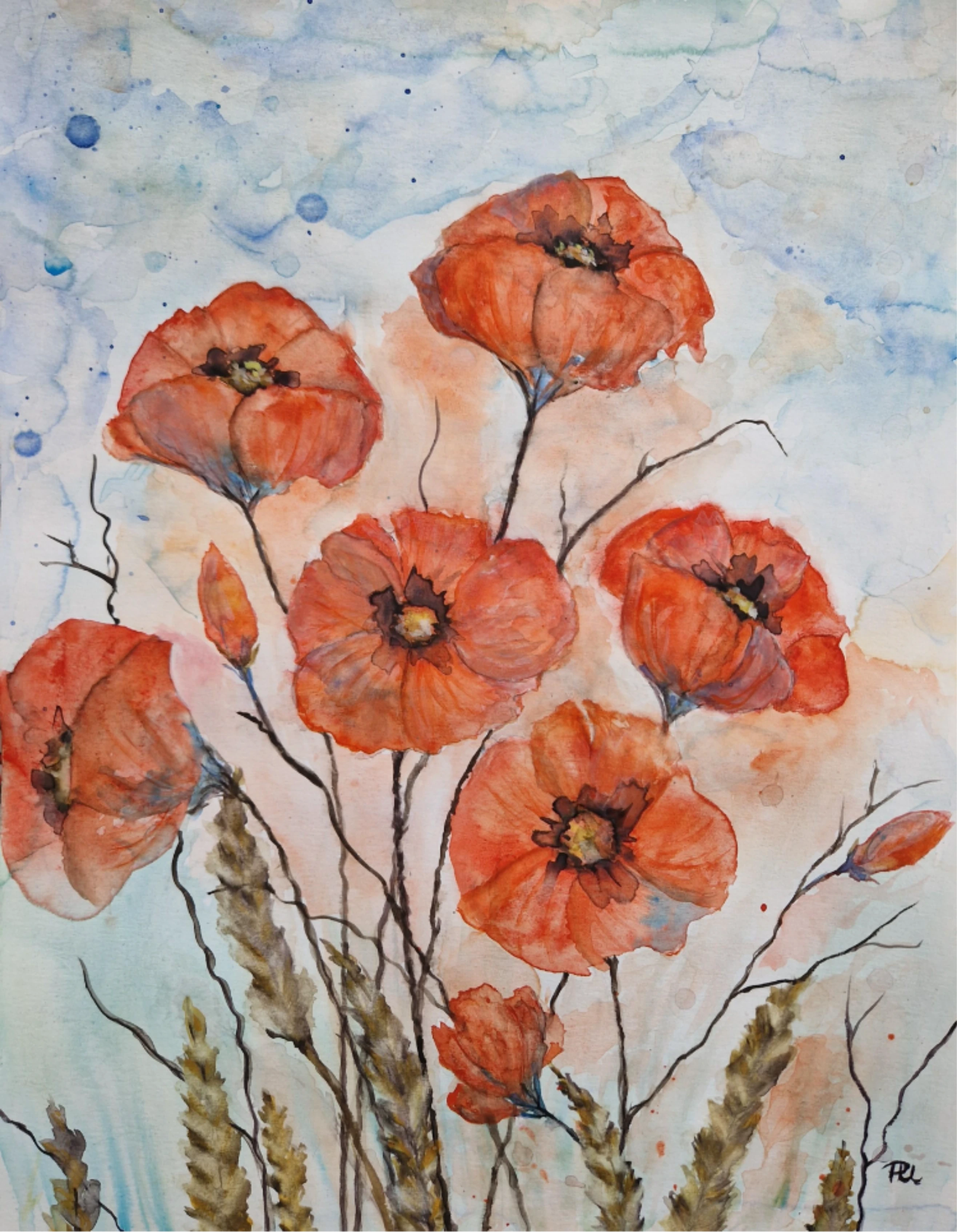 Mohn