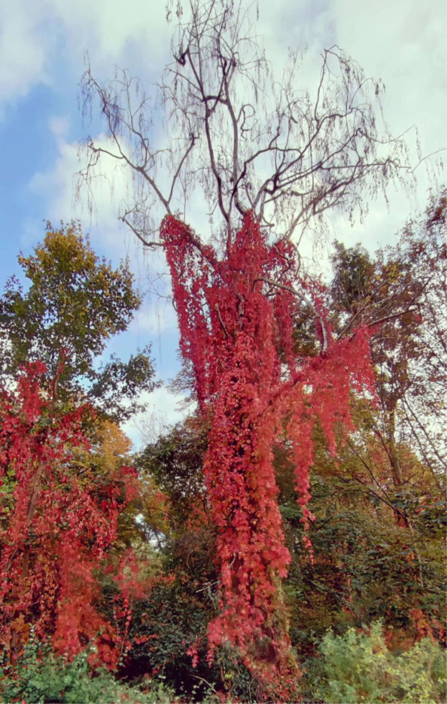 Herbstkleid