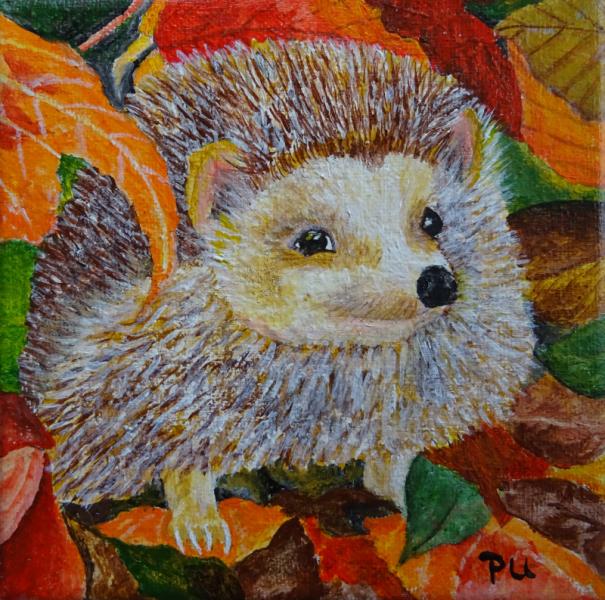 Igel im Herbst