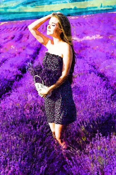 Das Lavendelfeld