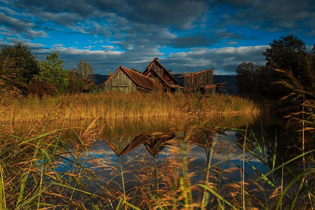 Schollenmühle
Die einzigartige Landschaft, das Interesse am Torfabbau, die artenreichen Pflanzen und Tierwelt, die vielfältigen Beobachtungsmöglichkeiten oder einfach nur eine gesunde Portion Neugier- es gibt viele Gründe, im Schollenried vorbeizukommen. Die Schollenmühle ist eine ehemalige Torffabrik. In ihrer Umgebung wurde der Torf abgebaut und in der Schollenmühle zu Torfmull und Spezialerde weiterverarbeitet. Das älteste Gebäude der Schollenmühle wurde 1918 errichtet.
https://youtu.be/3V3DE32dtnc 
