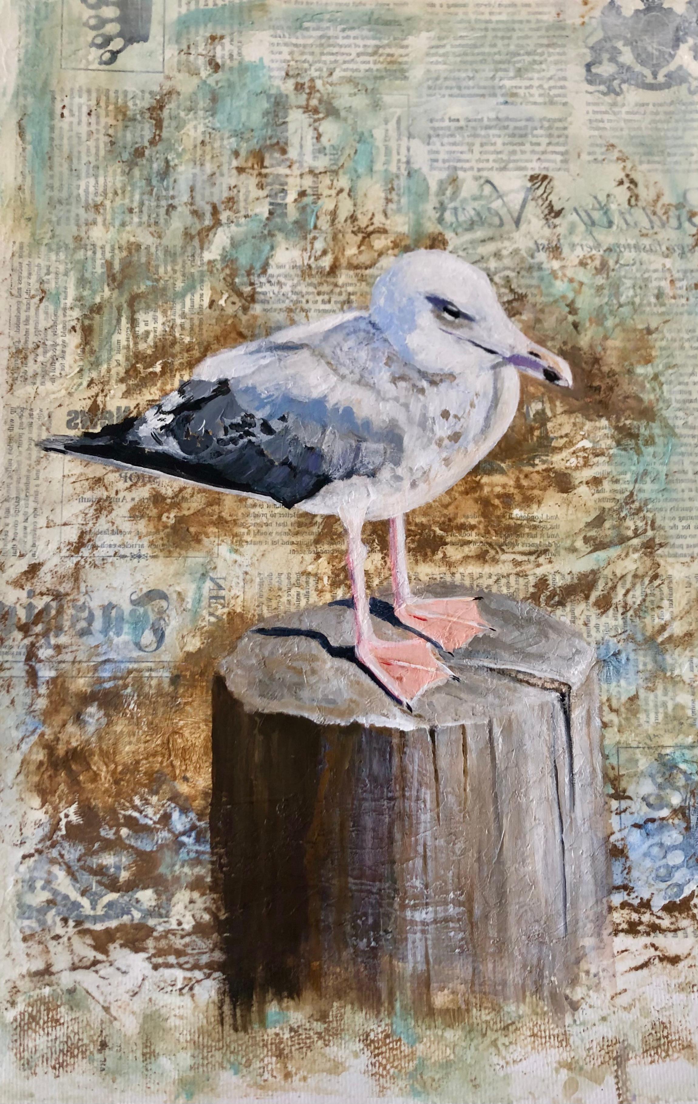 Möwe Sylt 1 