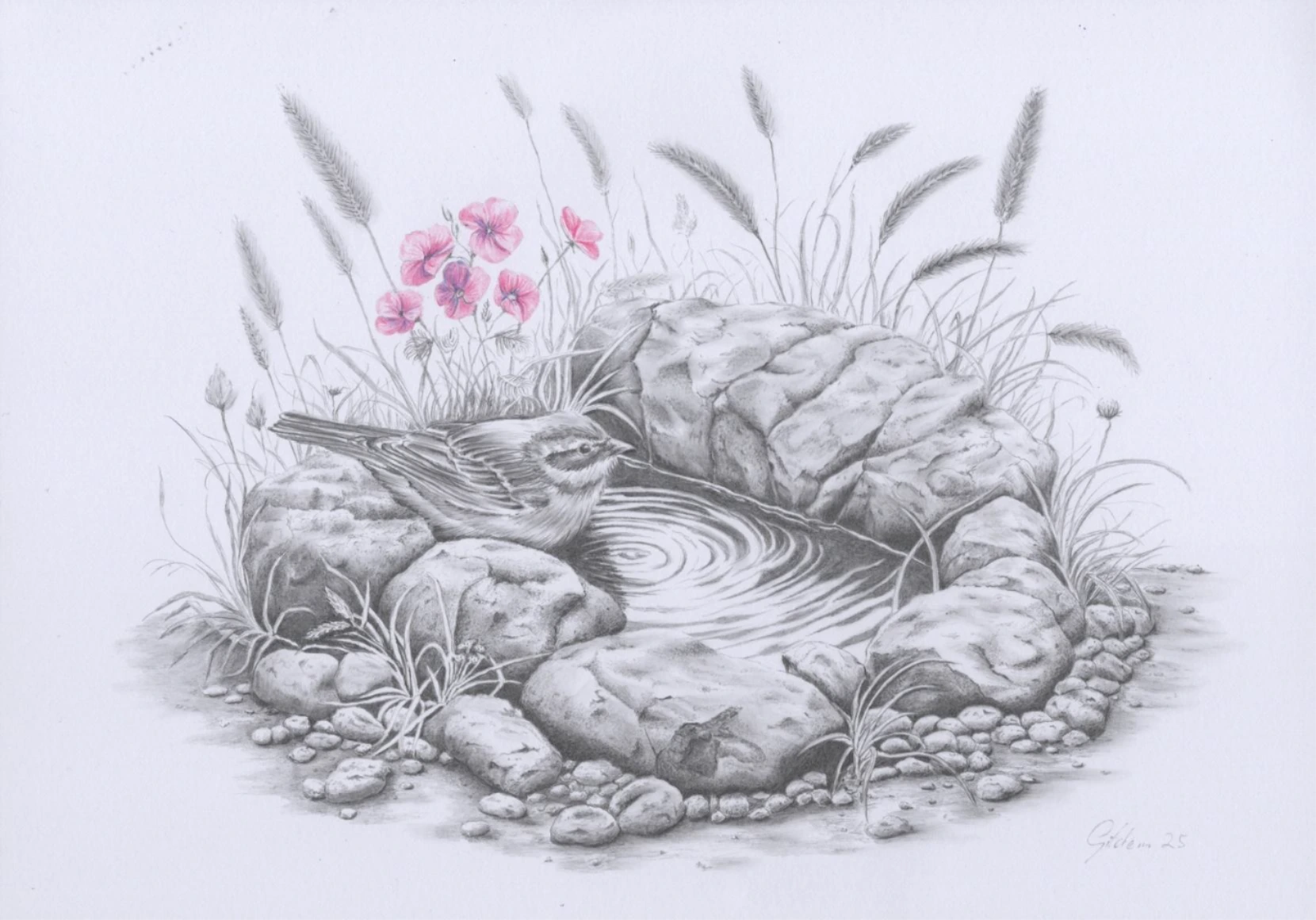 Mehr Informationen findest Du auf meiner Webseite www.gildemeister-art.de