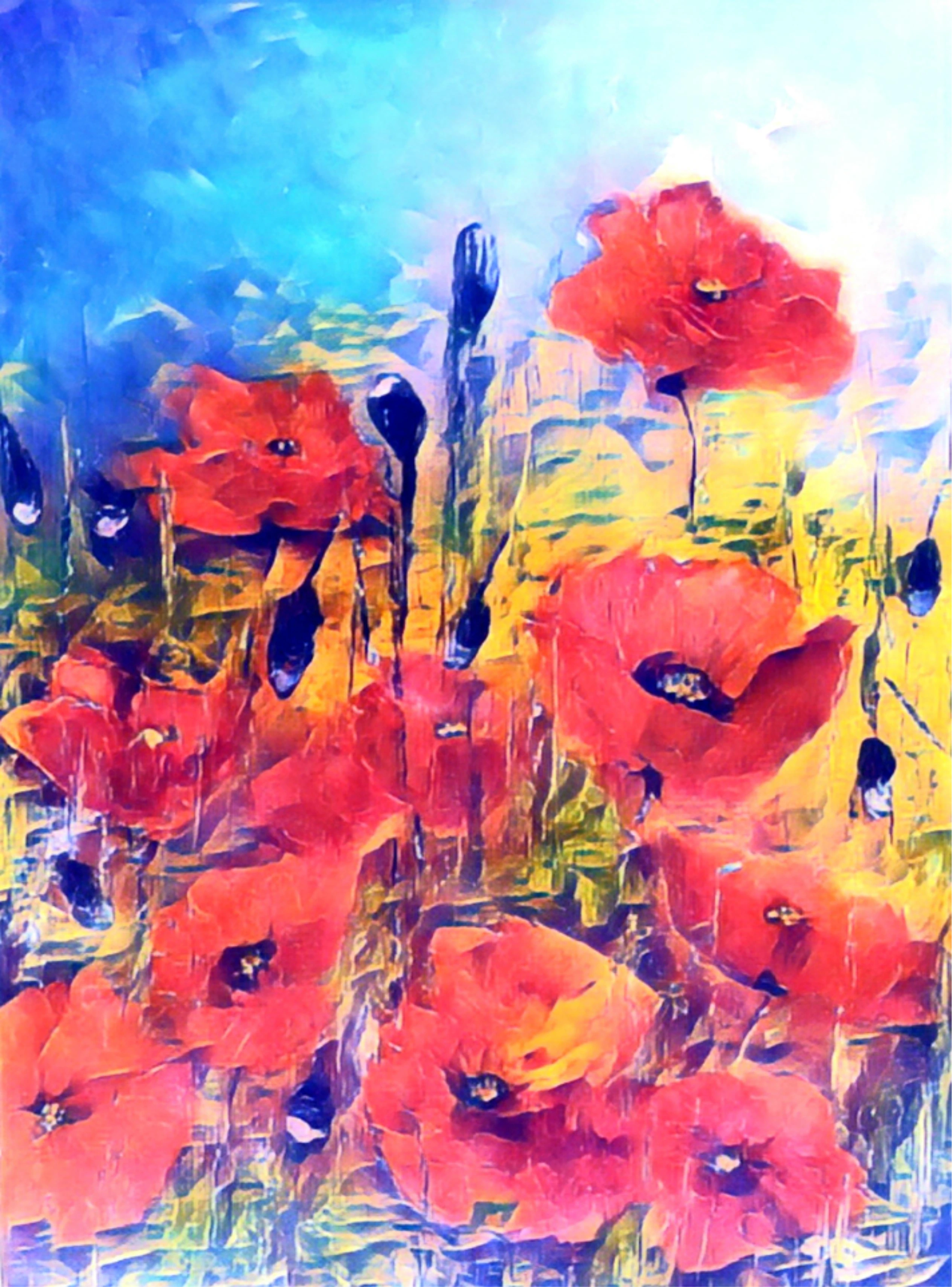 Mohn abstrakt