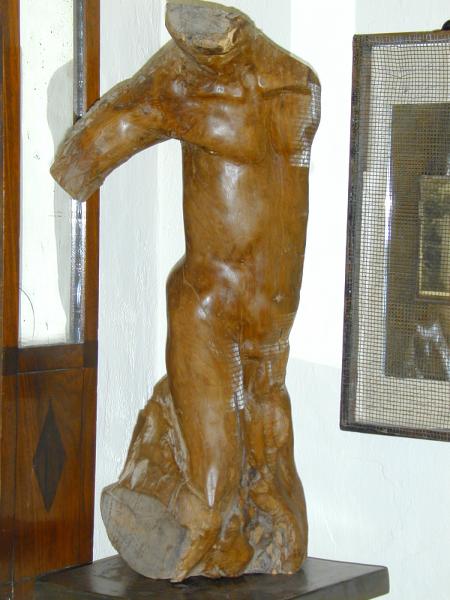 Männlicher Torso